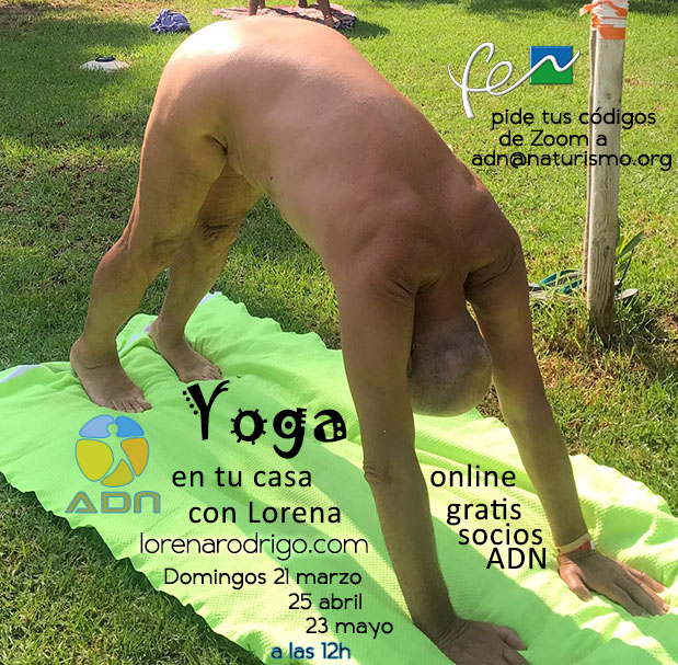 Yoga online con Lorena